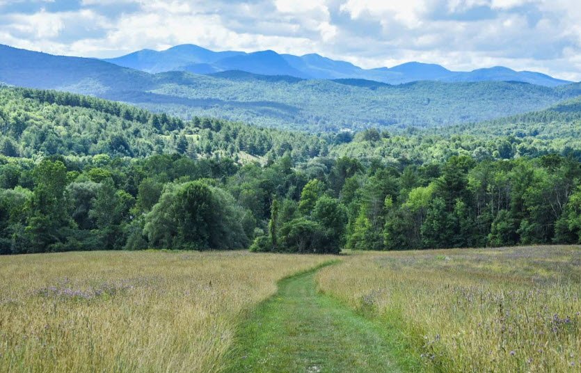 Taconic Ramble State Park